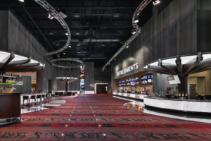 Interior Designers_2_Phoenix_Harkins Camelview Theatre