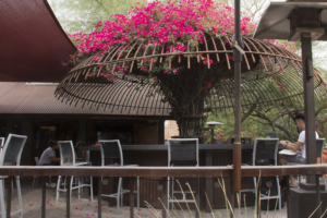 Restaurant_Architects_10_Featured_Bliss Rebar